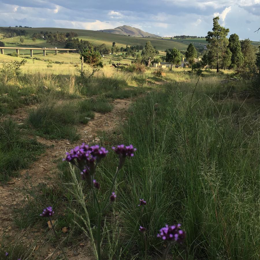 Riverview Country Inn Van Reenen Dış mekan fotoğraf